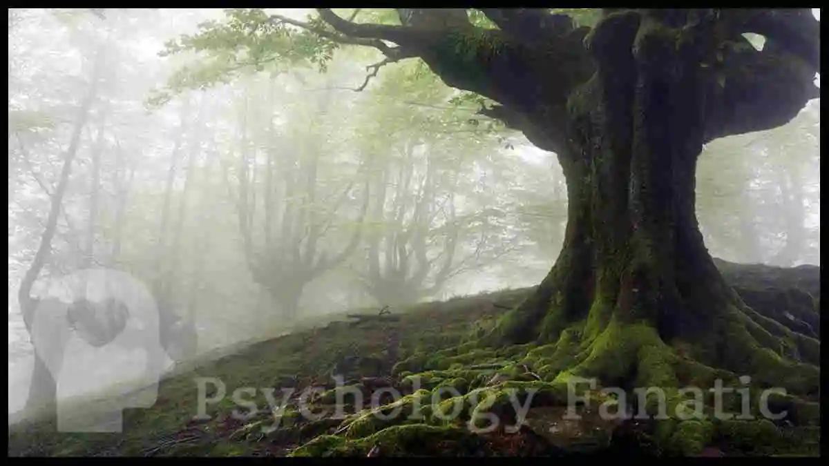 Growing Against the Grain. Psychology Fanatic article feature image
