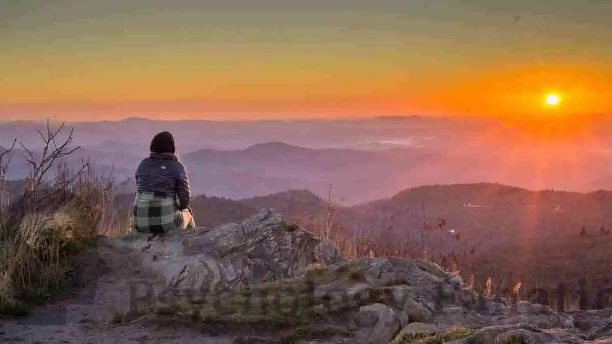 Mindfulness and Addiction Recovery. Psychology Fanatic article feature image