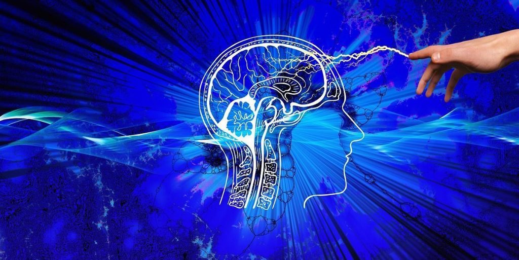 Privacy Policy Page Psychology Fanatic