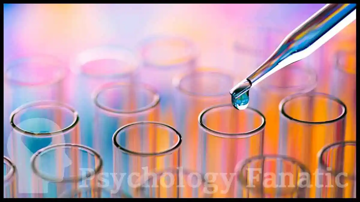 Translational Neuroscience. Psychology Fanatic article feature image