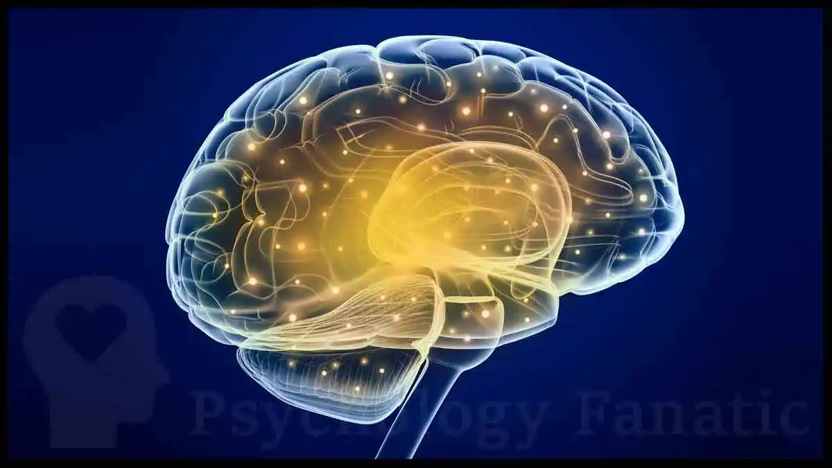 Evolutionary Psychology. Psychology Fanatic article feature image