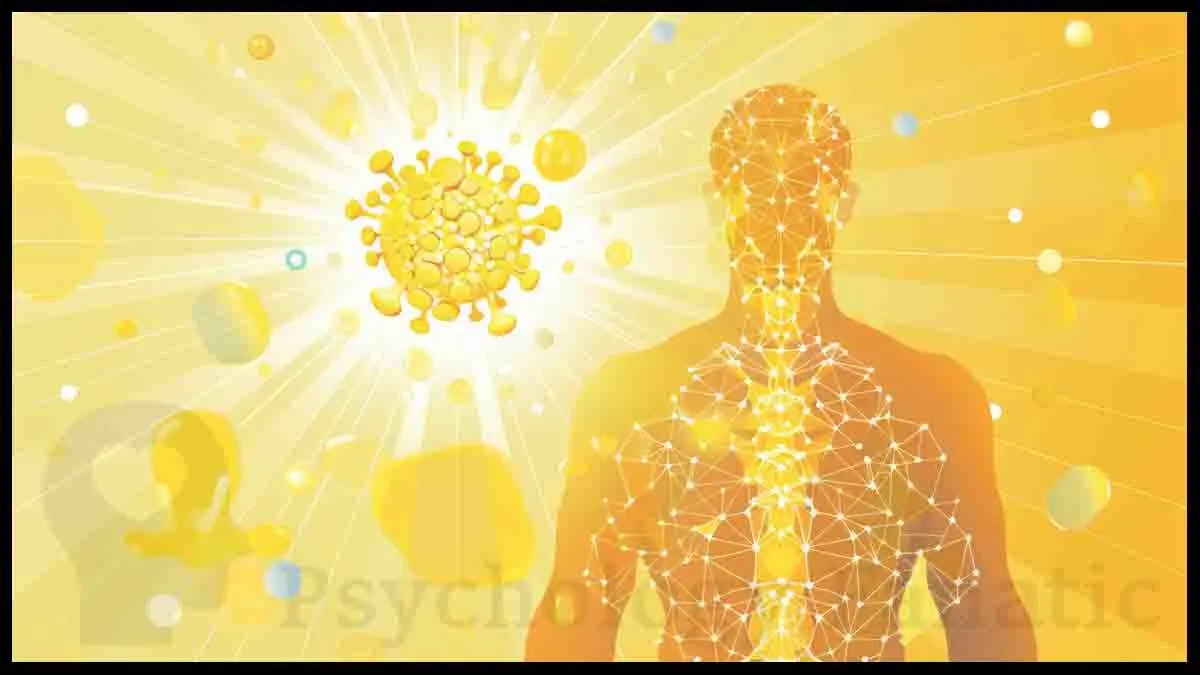 Psychoneuroimmunology. Health Psychology. Psychology Fanatic article feature image