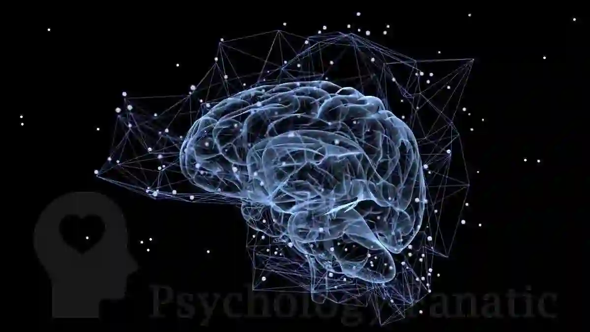 Controlled Neuroplasticity. Neuroscience. Psychology Fanatic article feature image