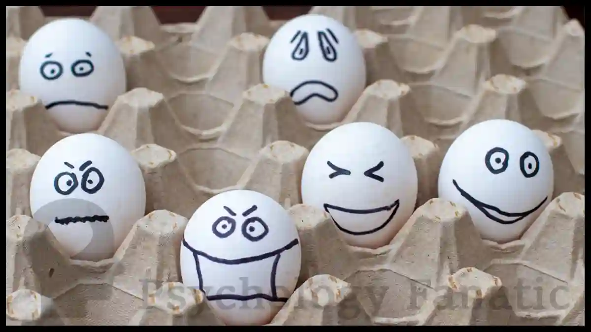 Frijda's Laws of Emotion. Emotion Theory. Psychology Fanatic article feature image